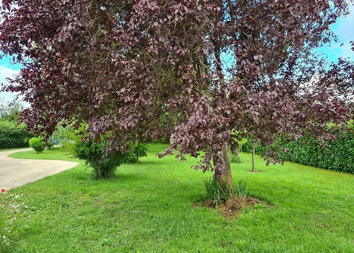 Maison De Daumeray *